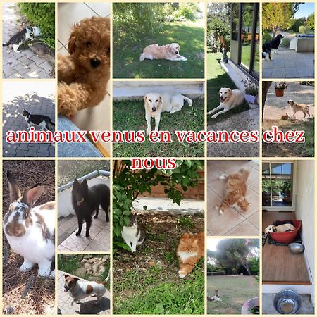 Gite Ma Vie La 3 Etoiles, Jacuzzi, Animaux Acceptes Saint-Julien-de-Cassagnas ภายนอก รูปภาพ