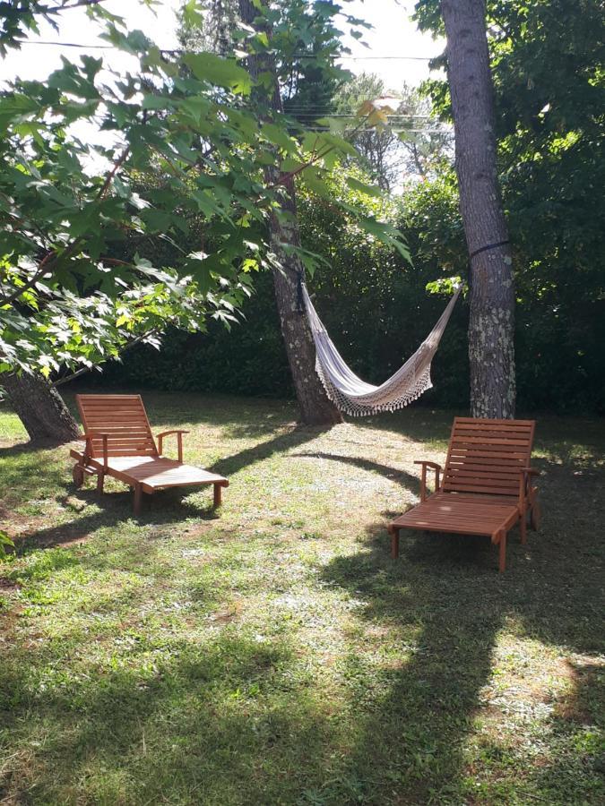 Gite Ma Vie La 3 Etoiles, Jacuzzi, Animaux Acceptes Saint-Julien-de-Cassagnas ภายนอก รูปภาพ