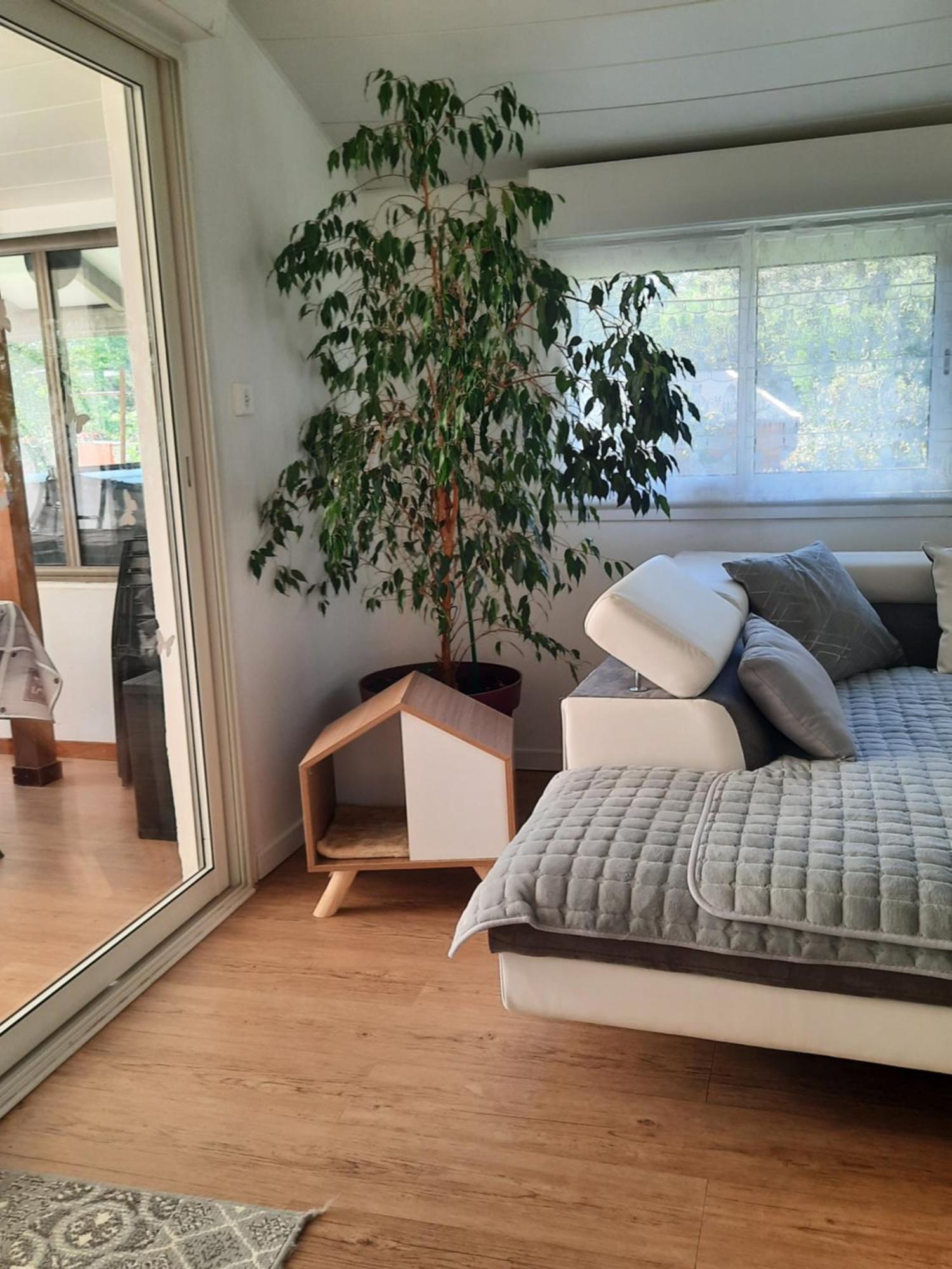 Gite Ma Vie La 3 Etoiles, Jacuzzi, Animaux Acceptes Saint-Julien-de-Cassagnas ภายนอก รูปภาพ